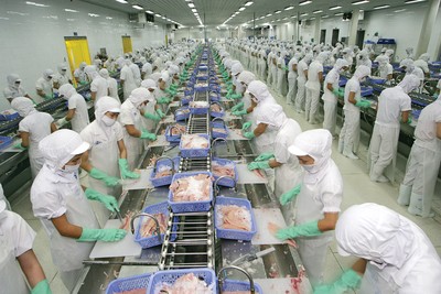Vĩnh Hoàn (VHC): Doanh thu tháng 8 đạt 1.099 tỷ đồng, tăng trưởng 2%