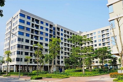 Ủy ban nhân dân cấp tỉnh đưa chỉ tiêu phát triển nhà ở xã hội theo từng năm được giao tại Nghị quyết này vào kế hoạch phát triển kinh tế xã hội hàng năm để triển khai thực hiện.