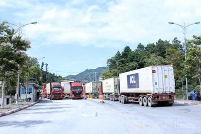 1.587 xe nhập khẩu đã được thông quan tại các cửa khẩu thuộc tỉnh Lạng Sơn trong ngày 11/2. 