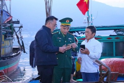 Tăng minh bạch truy xuất nguồn gốc thủy sản qua hệ thống điện tử 