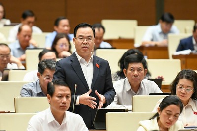 Đại biểu Trần Văn Khải phát biểu tại hội trường. 