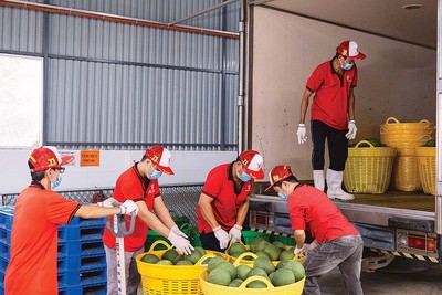 Khi áp lực lan rộng, doanh nghiệp cần giải pháp đồng bộ về chính sách và thị trường (Ảnh: P.V)