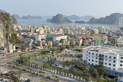 Quảng Ninh quyết liệt xây dựng dữ liệu đất đai “đúng - đủ - sạch - sống”. Ảnh: Quỳnh Nga