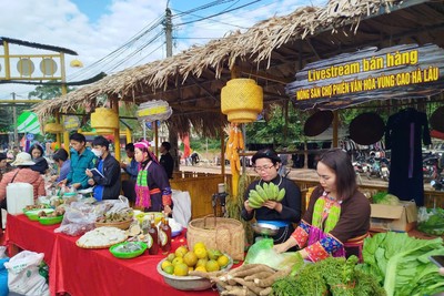 Thông qua các nền tảng số, nhiều nông lâm sản, sản phẩm OCOP của bà con được quảng bá trực tiếp đến người tiêu dùng, giảm khâu trung gian, nâng cao giá trị sản phẩm và tăng thu nhập cho người dân.