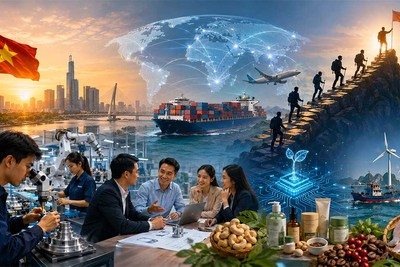 “Nhà vô địch ẩn mình” và bước chân của doanh nghiệp tư nhân Việt 