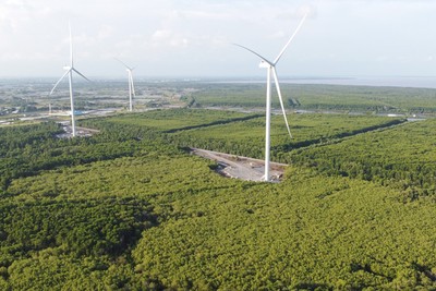 Đến nay, trên địa bàn TP. Cần Thơ đã có 9 nhà máy điện gió chính thức vận hành thương mại, đạt công suất 396 MW.