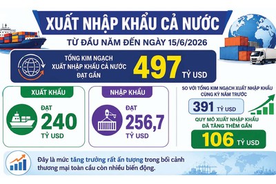 Diễn biến thương mại nửa đầu năm: Rút ngắn chặng đường chinh phục mốc 1.000 tỷ USD 