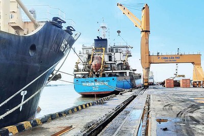 Cần Thơ có đầy đủ điều kiện để phát triển thành trung tâm dịch vụ logistics quốc tế hiện đại của vùng ĐBSCL và tiểu vùng Mekong (Ảnh: P.V) 