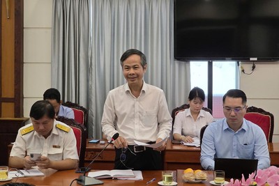 Ông Trịnh Xuân Đức, Phó tổng giám đốc Tập đoàn Becamex phát biểu tại hội nghị. Ảnh: TT