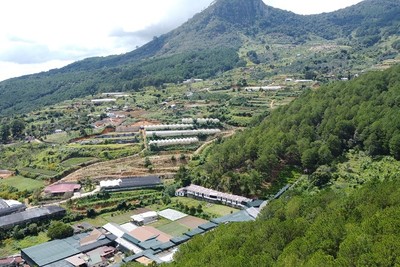 Theo Sở Nông nghiệp và Môi trường tỉnh Lâm Đồng, trường hợp đất bị cấp chồng lấn hoặc cấp sai vị trí thì thực hiện thu hồi, cấp đổi hoặc cấp lại theo đúng trình tự, thủ tục và thẩm quyền. Ảnh: Linh Đan 