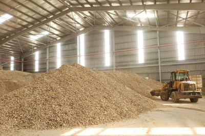 Sắn lát trong kho chờ xuất khẩu. Ảnh: ĐVCC.
