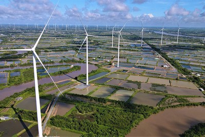 Cần Thơ đề xuất bổ sung vào quy hoạch 11 dư án điện gió. (Ảnh: Điện gió Lạc Hòa)