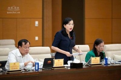  Chủ nhiệm Ủy ban Khoa học, công nghệ và môi trường Nguyễn Thanh Hải phát biểu - Ảnh: QH. 