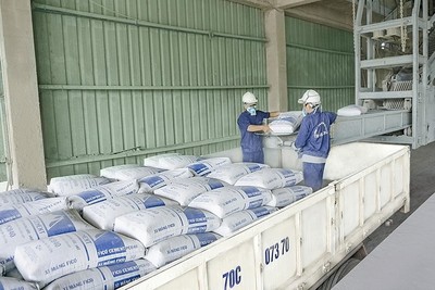 Tiêu thụ xi măng 8 tháng năm 2026 tăng cả ở kênh nội địa lẫn xuất khẩu. 