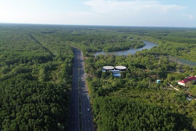TP.HCM sẽ chuyển đổi một phần diện tích đất rừng dọc đường Rừng Sác để làm tuyến metro Bến Thành - Cần Giờ - Ảnh: VD 