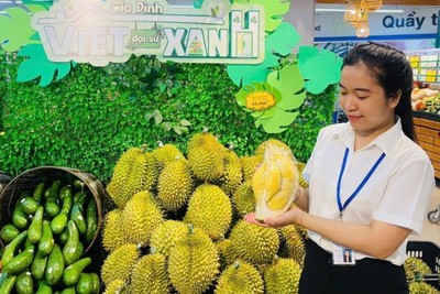Nghị định số 384/2026/NĐ-CP quy định xác định xuất xứ Việt Nam đối với hàng hóa sản xuất và lưu thông trong nước.
