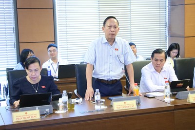 Đại biểu Nguyễn Đình Xuân phát biểu tại tổ. 