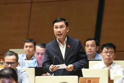 Đại biểu Lê Hoàng Anh tham gia thảo luận. Ảnh: Như Ý .