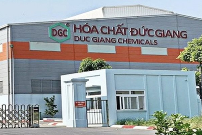 Hoá chất Đức Giang (DGC) thay Tổng giám đốc