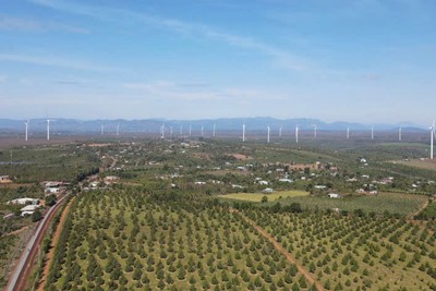 Kinh Bắc (KBC) phát triển điện gió tại Gia Lai