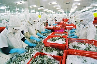 Xuất khẩu thủy sản tháng 3 tăng chậm lại, thị trường Trung Quốc bứt phá nhờ yếu tố mùa vụ