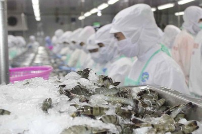 Xuất khẩu thuỷ sản tăng 11% trong 5 tháng đầu năm, riêng thị trường Mỹ giảm 10%