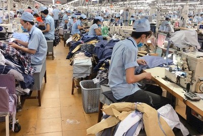 May mặc Bình Dương (BDG) chia cổ tức khủng, tỷ lệ 50% bằng tiền 