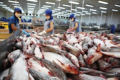 Vĩnh Hoàn (VHC): Doanh thu tháng 6 giảm 14% so với tháng trước