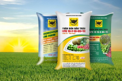 Phân bón Bình Điền (BFC) sắp trả cổ tức 2025 bằng tiền, tỷ lệ 35%