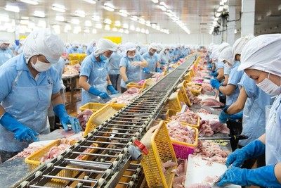 Chủ tịch HĐQT Nam Việt (ANV) muốn thoái toàn bộ vốn