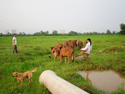 Ảnh minh họa: Dũng Minh