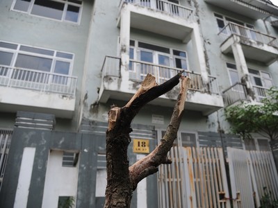 Chín tháng buồn của ngành địa ốc