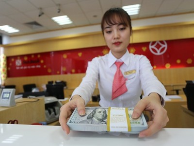 Cần kiên định không trả lãi tiền gửi bằng USD