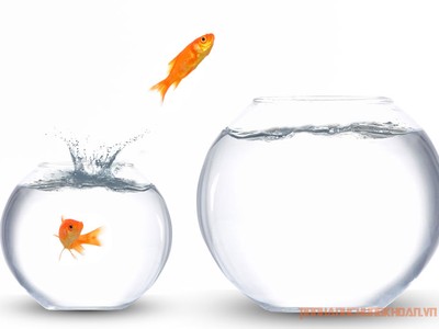 Sự kiện chứng khoán đáng chú ý ngày 21/1