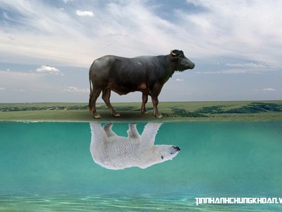 Bắt đáy hậu Brexit - Canh bạc rủi ro