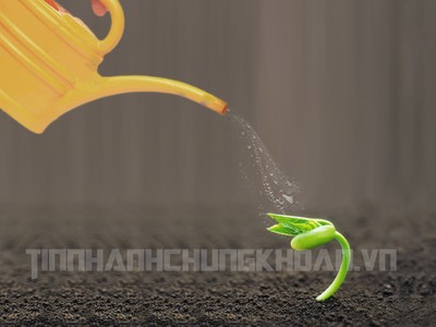 Quản trị rủi ro ngân hàng: Phương pháp tiếp cận mới