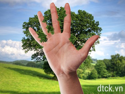 Luật Kinh doanh bảo hiểm: Nhiều nội dung cần sửa đổi, bổ sung