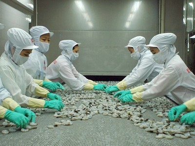 9 tháng, lãi sau thuế MPC chưa bằng 1% kế hoạch năm