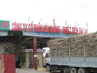 Cổ phiếu SEC sẽ hủy niêm yết trên HOSE từ 29/9 