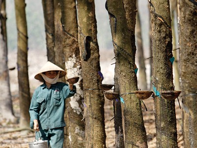 TRC hoàn thành hơn 77% kế hoạch lợi nhuận sau 9 tháng