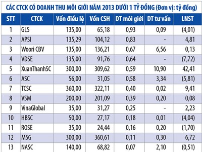 Bức tranh toàn cảnh CTCK năm 2013 - kỳ 2: Phân hóa mạnh