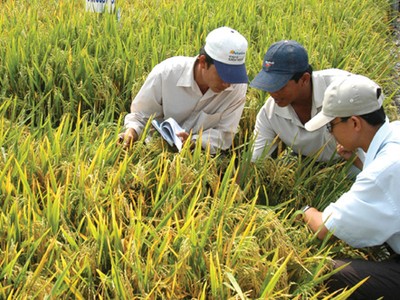 NSC: EPS năm 2013 đạt 9.518 đồng