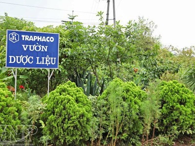 CNC-Traphaco: Ban điều hành được thưởng 500 triệu đồng