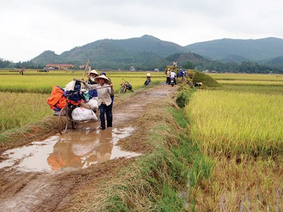 Xuất khẩu nông sản khó khăn đang ảnh hưởng trực tiếp đến đời sống của hàng chục triệu nông dân       