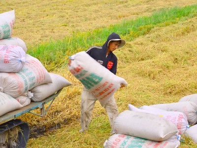 Hạ lãi suất người nông dân phải làm gì?