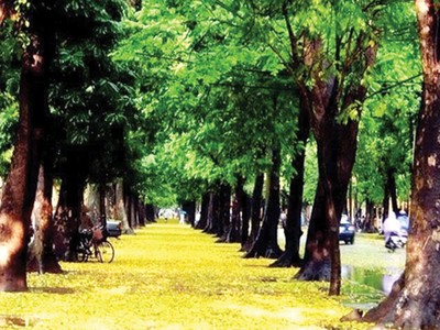 Ông đại úy đi buôn