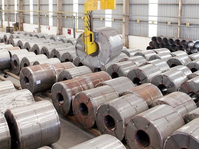 ĐHCĐ lần 1 của TLH không thành