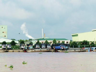 Đồng Tháp là tỉnh tập trung nhiều nhà máy chế biến thủy sản      