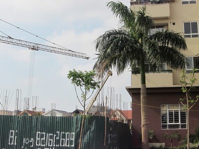 Tòa nhà N04-B1 được xây dựng sát Tòa nhà N04-B2 (bên phải)