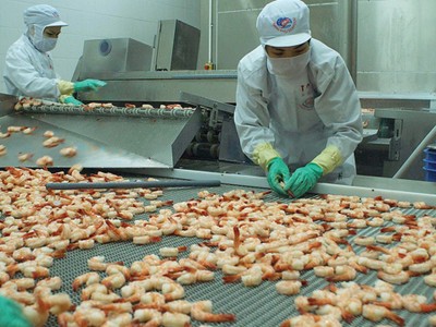 Minh Phú trên con đường tỷ USD